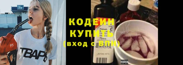 твердый Снежногорск