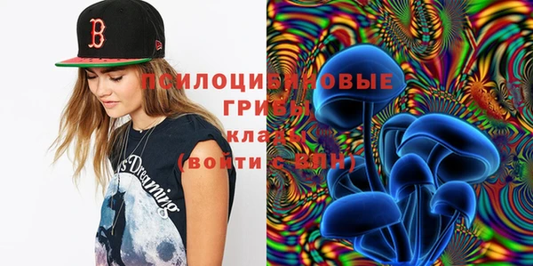 молекула духа Куйбышев