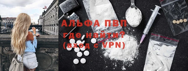 прущие грибы Костерёво