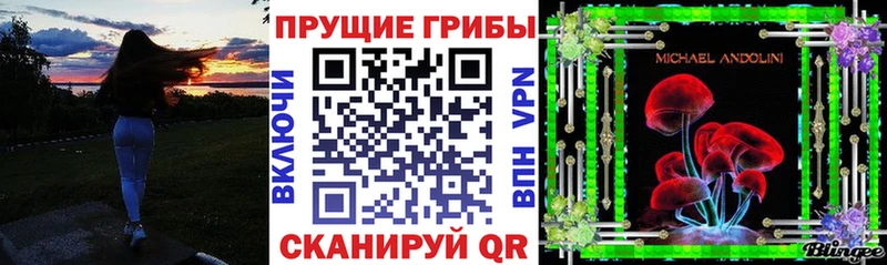 что такое   mega ссылки  Псилоцибиновые грибы Psilocybine cubensis  Урай 
