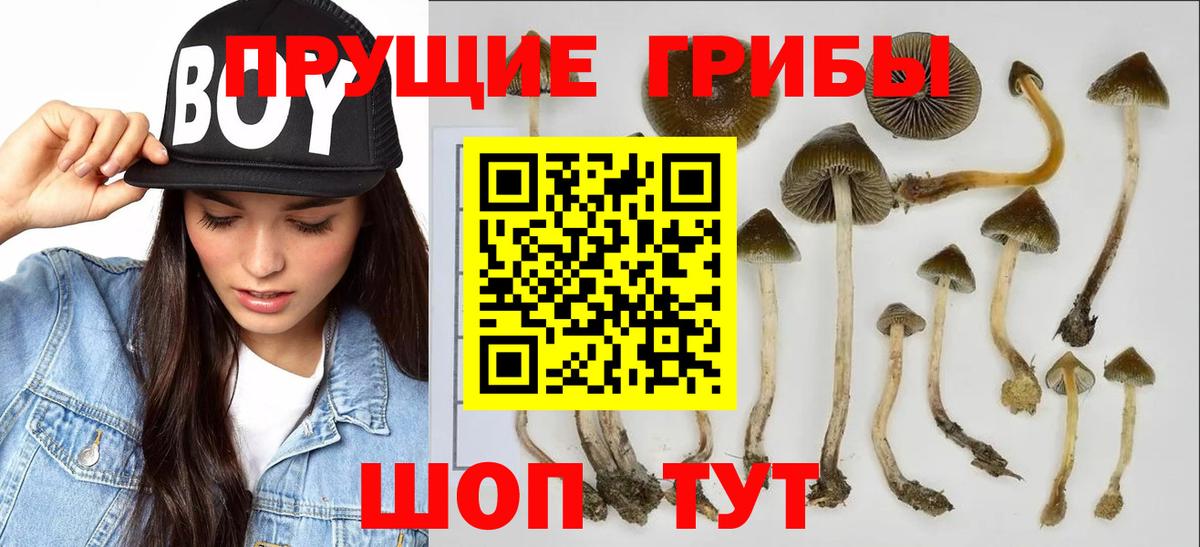 Галлюциногенные грибы ЛСД  Вход с VPN  Псилоцибиновые грибы MAGIC MUSHROOMS  Урай 
