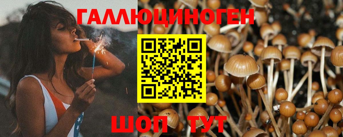 Псилоцибиновые грибы ЛСД Урай